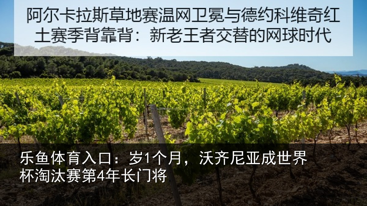 乐鱼体育入口：岁个相关情况杯淘汰赛第4年长门将