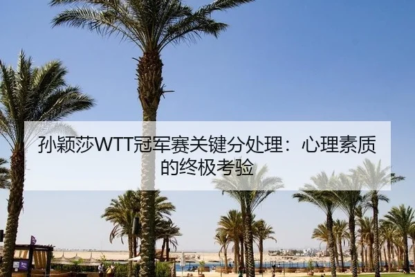 孙颖莎WTT冠军赛关键分处理：心理素质的终极考验