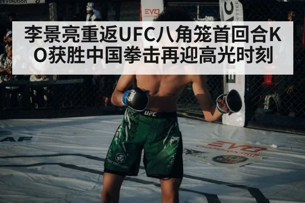UFC octagon fight